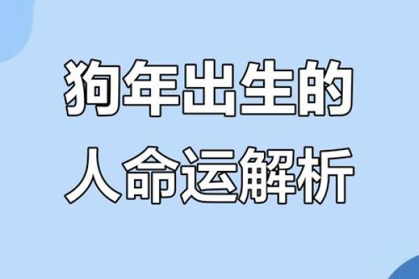 1982年是什么狗年，属狗的性格与命运解析