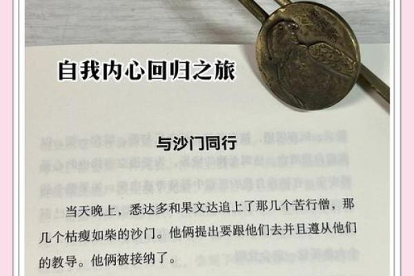 2019年马年的命运解析：探索生命中的机遇与挑战