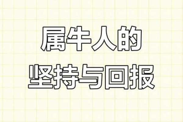 2017年属牛人的命运分析：性格、事业与生活的全景探索