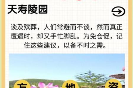 金龙命如何选择墓地方位，助您安享后世之福