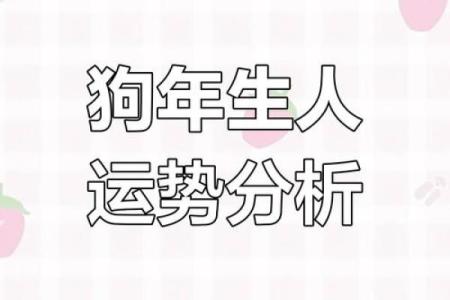 1982年是什么狗年，属狗的性格与命运解析