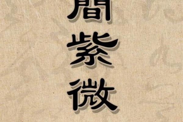 探秘紫微命学堂：揭秘命运与人生的奥秘