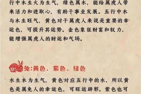 火猪命人的颜色之道：如何用颜色提升运势与生活品质