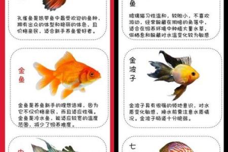 林木命适合养的鱼种推荐，助您水族箱生生不息！