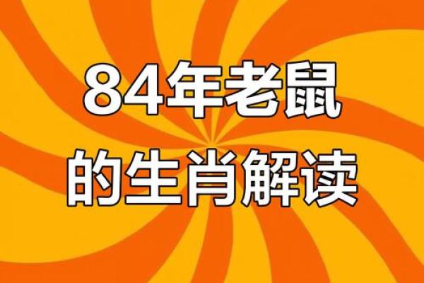 1984年属鼠人的命运与性格特征解析