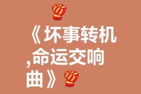 1964年8月的命运交响曲：历史的转折与人生的启示