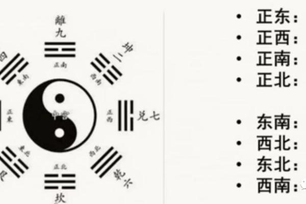 探秘东四命与西四命的奥秘，解锁命理中的人生智慧