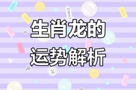 2000属龙的命运与运势解析：如何把握人生机遇