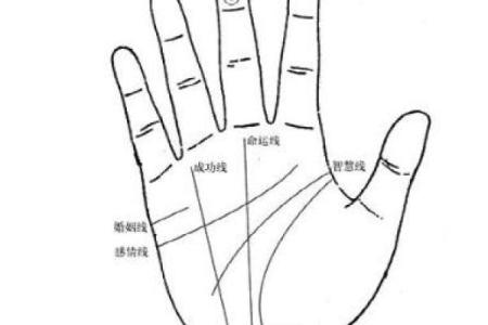 揭秘男人的命运密码：二五八命运解析与人生秘诀