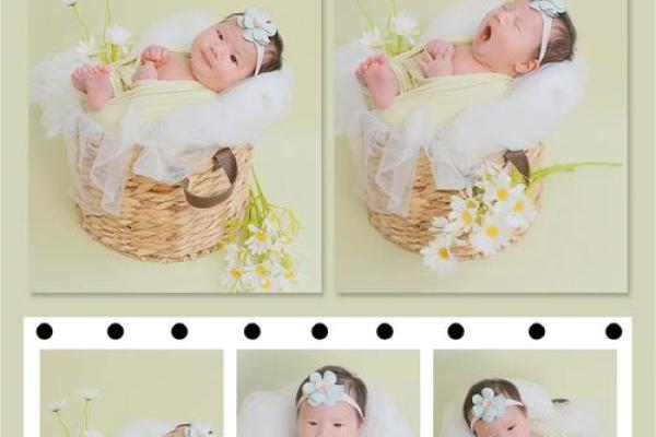 2018年出生的宝宝命运解析：生肖狗儿的未来之路与成长之道