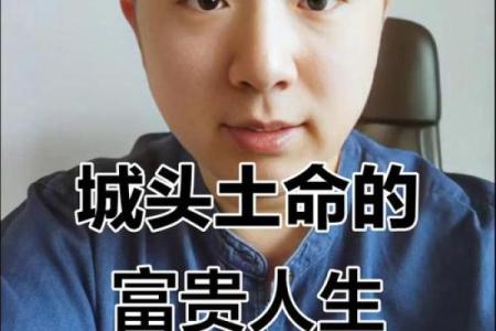 城头土命：适合的专业与职业发展之路探讨