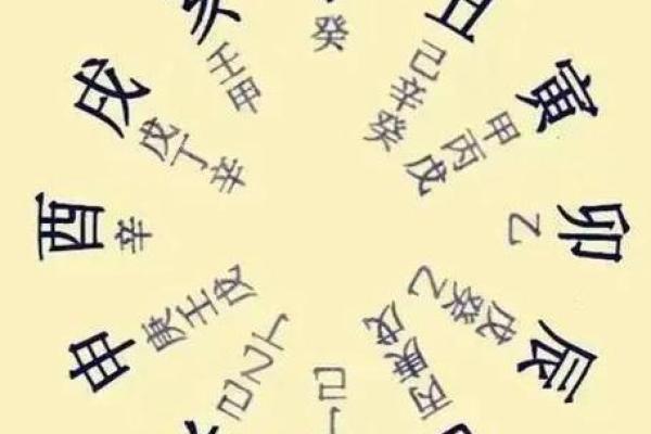 探索月令丁卯日元甲戌命理的秘密与人生轨迹