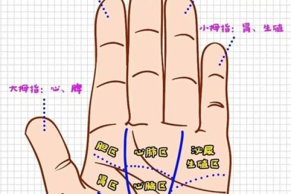 揭秘手纹特多之命：命运与纹路的奥秘分析