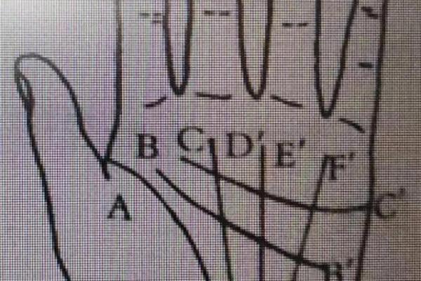 揭秘手纹特多之命：命运与纹路的奥秘分析