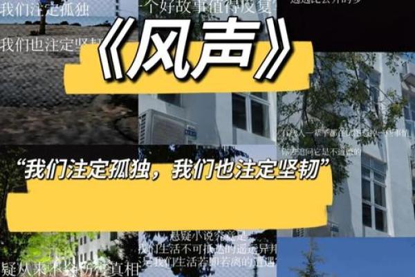 探秘仙命与亡命：命运的双重奏与人生的选择