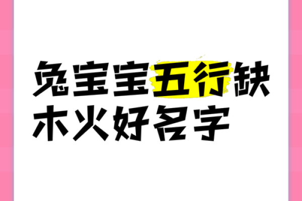 兔年命理解析：揭示明年兔宝宝的水命与木命！