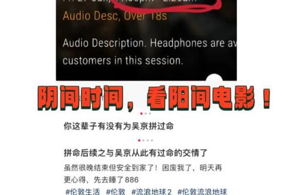 硬命阳人和硬命阴人的深度解读与探索