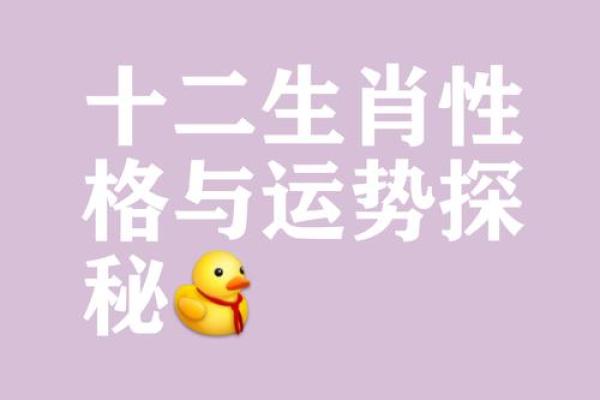 火命鼠与五行相配，命相和谐的心灵之旅