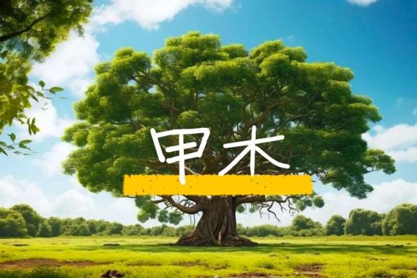 1987年正月十三出生的人生运势解析与命理深探