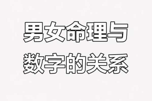 命理生物数字的奥秘：探寻数字背后的深层含义与应用