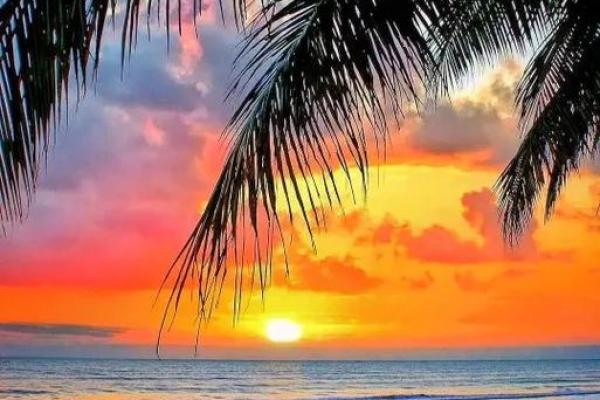 今生命运的旋律：解读《今生什么命》这首歌的情感与哲思