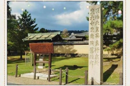 探寻饿木命的生肖之谜：解读木性与命理的深刻关联