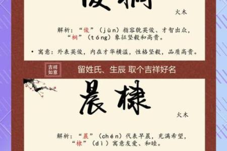 火命男孩起名指南：优雅与力量并存的名字选择