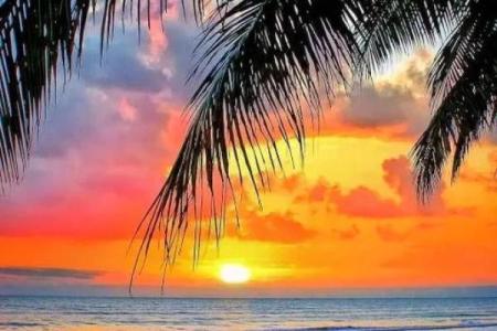 今生命运的旋律：解读《今生什么命》这首歌的情感与哲思