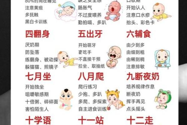 2020年腊月出生的宝宝命运解析与人生规划