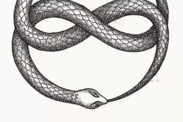 1980年命卦解析：探秘命运的神秘符号与人生之路