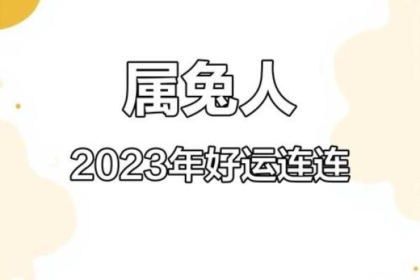 2023年出生属兔，命理解析与人生指引