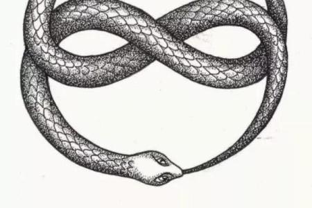 1980年命卦解析：探秘命运的神秘符号与人生之路