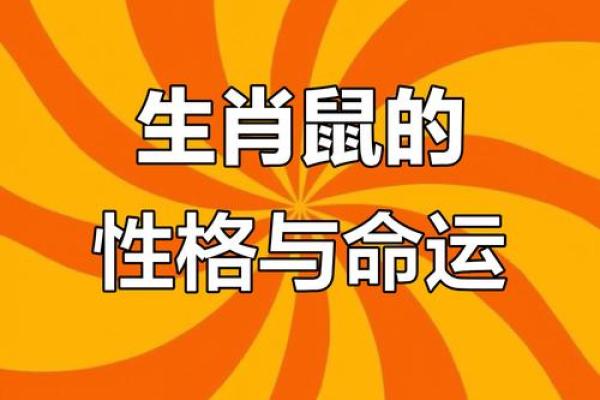 1996年属鼠女孩的命运与性格解析：智慧与机遇并存的生活之路