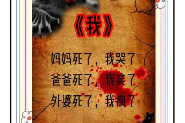 揭秘好名乌龟命生肖之谜，探寻命运与性格的秘密