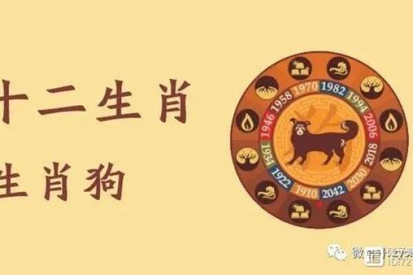 2018年狗年出生的八字命理解析与未来运势展望