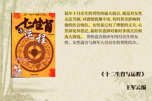 2004年出生的人命运解析：数据显示的命理真相与生活启示