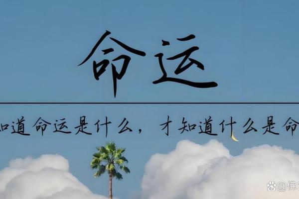 幸运数字与命格：解读藏在数字背后的命运之道
