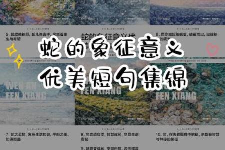 2025年木蛇命运解析：洞悉性格与生活的秘密