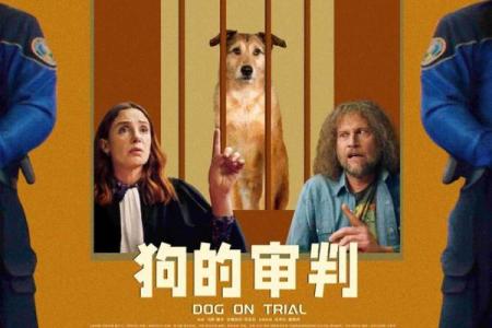 1970年出生的狗年命，揭示你的命运与人生法则！