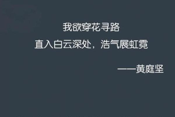 有心无命，追梦路上的孤独与思考