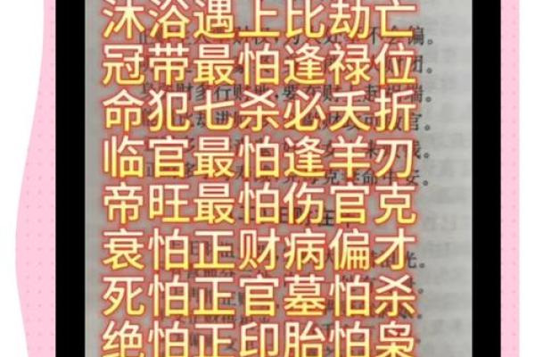 骨重6.0命理解析：了解你的命格，探索人生奥秘