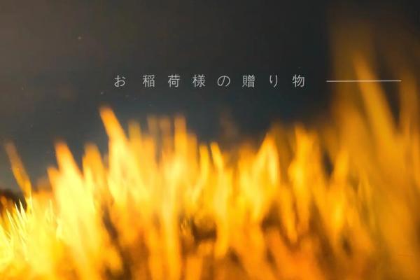 命稻命稻，人生如稻，悲欢离合皆在这一粒米中