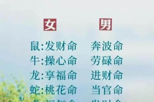揭示天上火命的吉祥属相，点燃你的命运之光！