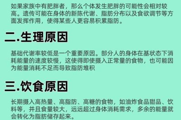 了解男人命格，揭秘最适合胖的男人命运特征