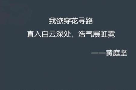 有心无命，追梦路上的孤独与思考