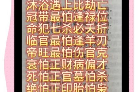 骨重6.0命理解析：了解你的命格，探索人生奥秘