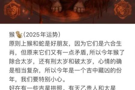 2009年属猴人的命运解析：智慧与挑战并存的一年