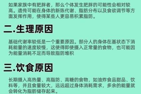 了解男人命格，揭秘最适合胖的男人命运特征