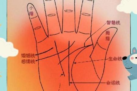 揭秘女人花手掌命运的奥秘，解读你的未来