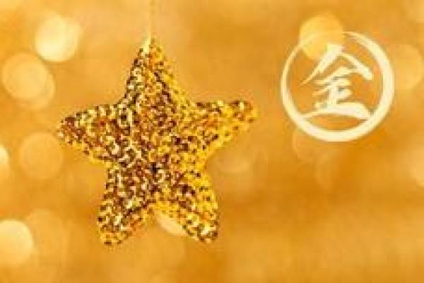 2006年金命解析：揭秘属于你的命理运势与人生旅程